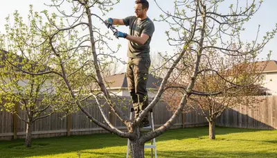 Arborist pruning fruit tree in Omaha, NE backyard orchard for expert tree care and seasonal growth