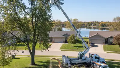 Professional tree removal service in Omaha NE safely cutting and clearing large tree branches
