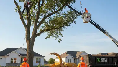 Professional tree removal and trimming service in Omaha, NE by certified arborists