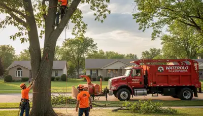 Professional tree removal service in Omaha NE safely cutting down large oak tree